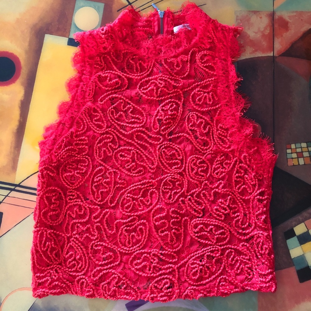 Zara Trafaluc Top Embroidered lace Size S - Picture 2 of 8